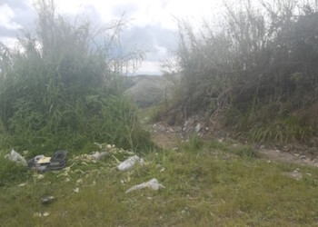 Mutilado y enterrado en Los Salias hallan cuerpo de joven desaparecido
