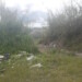 Mutilado y enterrado en Los Salias hallan cuerpo de joven desaparecido