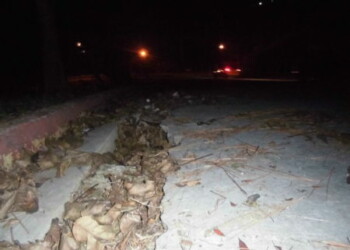 Se quiebra la calle por socavón en el terreno que sostiene la carpeta asfáltica.