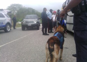 Brigada Canina atendió denuncia por violencia de género