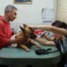 Vecinos de Lagunetica se unen contra el maltrato animal
