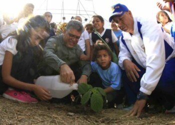 35 mil plantas sembradas en más de 10 mil planteles educativos en inicio de la Semana del Árbol