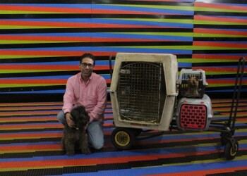 “Tu Mascota Contigo” te ayuda a reunir a toda la familia