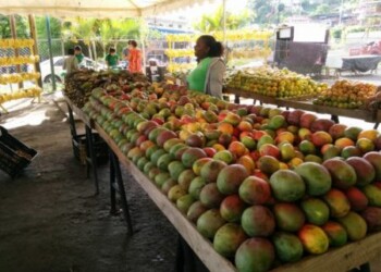 El mercado abrió desde el viernes.