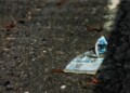 "Falta de moneda de curso legal" obliga a regalar la gasolina en estaciones de servicio