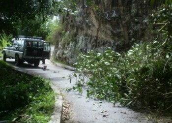 PC Los Salias despejó vía de La Peña Baja obstruida por árbol caído