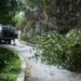 PC Los Salias despejó vía de La Peña Baja obstruida por árbol caído
