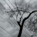 Tormenta eléctrica dejó al menos un herido en Altos Mirandinos