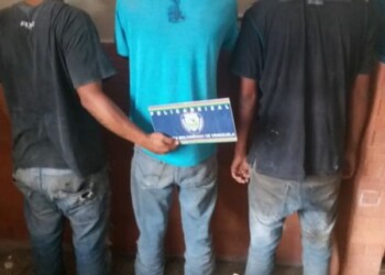 Detenidas 11 personas por funcionarios de Policarrizal