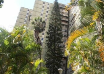 En Montaña Alta 200 habitantes de los edificios verdes cumplen seis días a oscuras