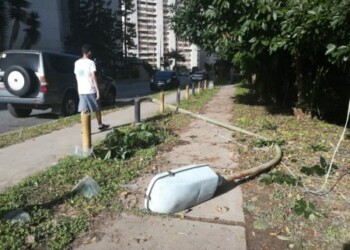 Urbanización La Rosaleda