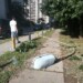Urbanización La Rosaleda