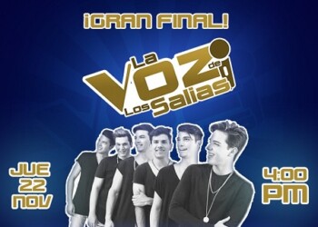 Cartel de artistas del festival