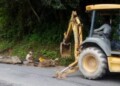 Alcaldía de Los Salias inicia recuperación de vía Las Polonias – La Morita