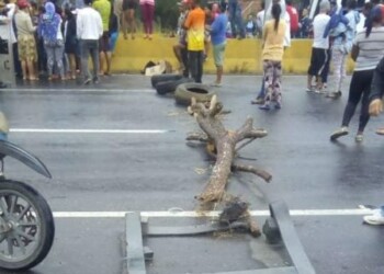 "Trancazo" protagonizan vecinos en la autopista GMA por perniles