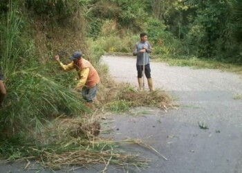 Avanzan trabajos de desmalezamiento en comunidades sanantoñeras