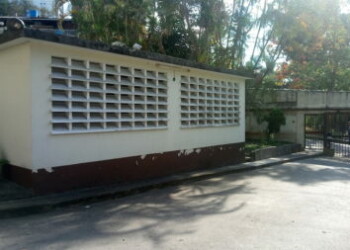 Proliferación de casos de dengue en San Antonio de los altos