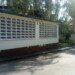 Proliferación de casos de dengue en San Antonio de los altos