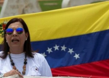 Embajadora de Guaidó en Brasil anuncia envío de ayuda a Venezuela el sábado