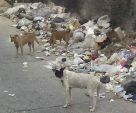 Paracoteños “ahogados” en basura exigen a la alcaldesa activar el servicio