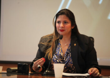 Nora Bracho: Está listo el Plan País para la recuperación de los servicios públicos