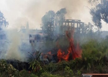 Incendios forestales en Altos Mirandinos.
