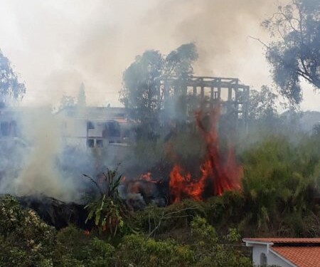 Incendios forestales en Altos Mirandinos.
