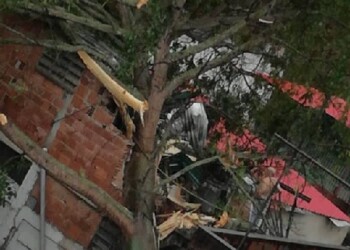 Piden ayuda a la alcaldía