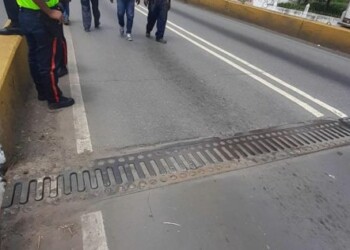 Elevado de Los Salias