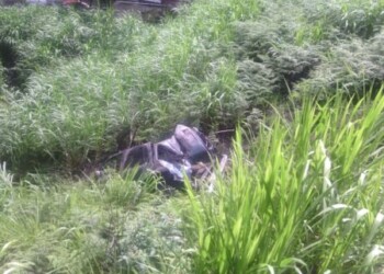 Cuatro heridos al caer camioneta por barranco en la Panamericana