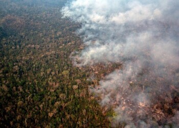 Brasil reafirma su polémica política medioambiental mientras la Amazonía arde