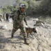 -FOTODELDÍA- AME4024. QUETAME (COLOMBIA), 18/07/2023.- Un integrante del Ejército de Colombia busca sobrevivientes con un perro de rescate hoy, en el sitio de una avalancha en Quetame (Colombia). Con un mar de lodo hasta las rodillas y entre muebles y vehículos arrastrados por el barro, familiares de las víctimas de la avalancha que arrasó el caserío de Naranjal, en el pueblo de Quetame, en el centro de Colombia, buscan desesperadamente a los desaparecidos con la esperanza de encontrarlos vivos. EFE/ Carlos Ortega