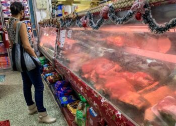 CARACAS (VENEZUELA), 28/12/2022.- Una mujer observa una nevera con carne de res en un abasto hoy, en Caracas (Venezuela). El salario mínimo y las pensiones en Venezuela, de 7,59 dólares al mes, no alcanza para comprar un kilo de carne de res, que en establecimientos de Caracas lo vendían este miércoles entre 8 y 10 dólares. EFE/ Miguel Gutiérrez